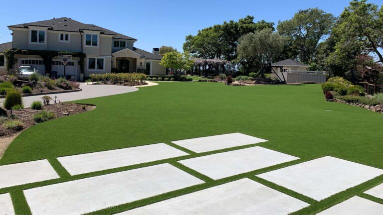 Artificial turf lawn